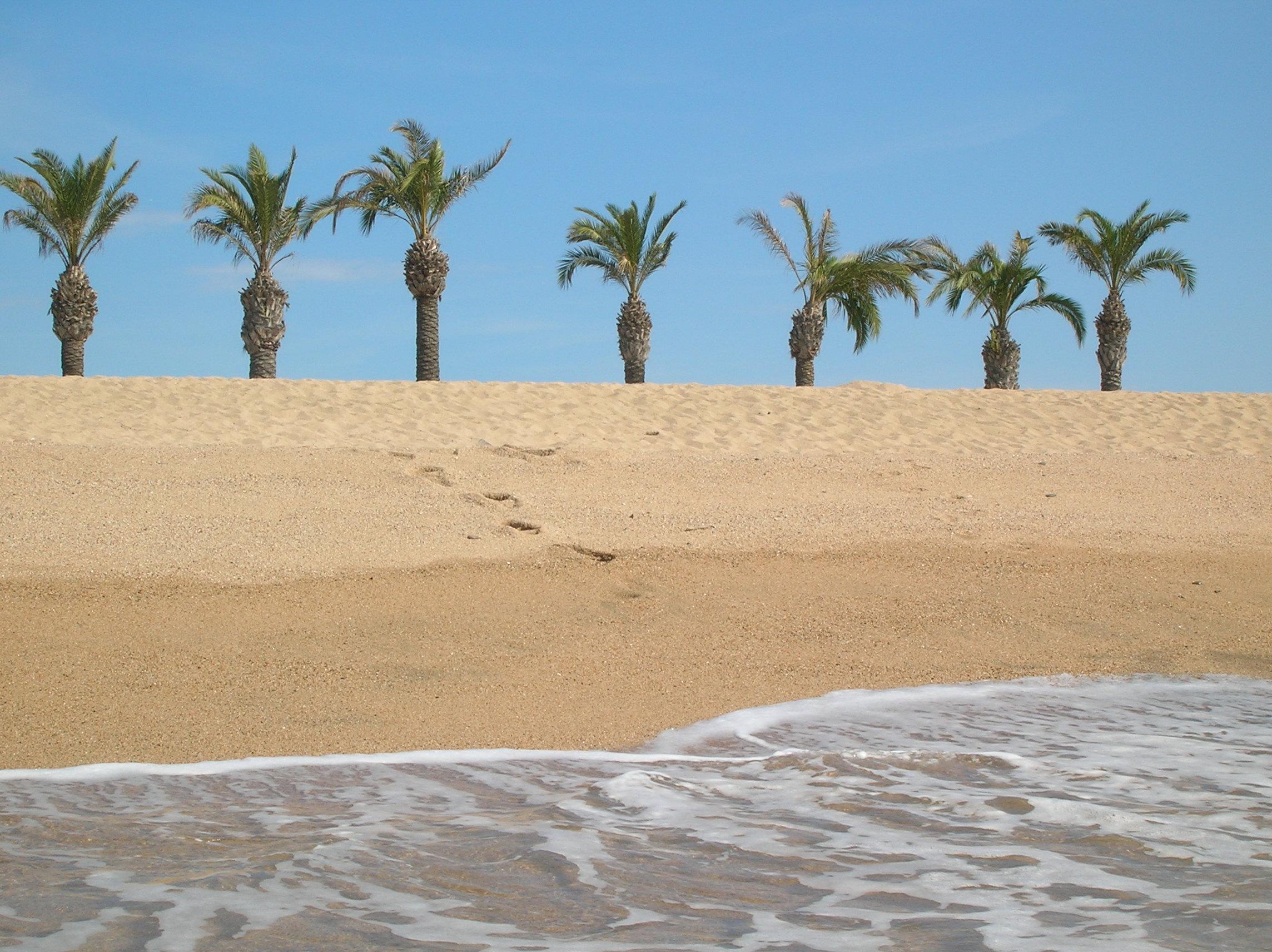 Hotel Alegria Florida Park 4*